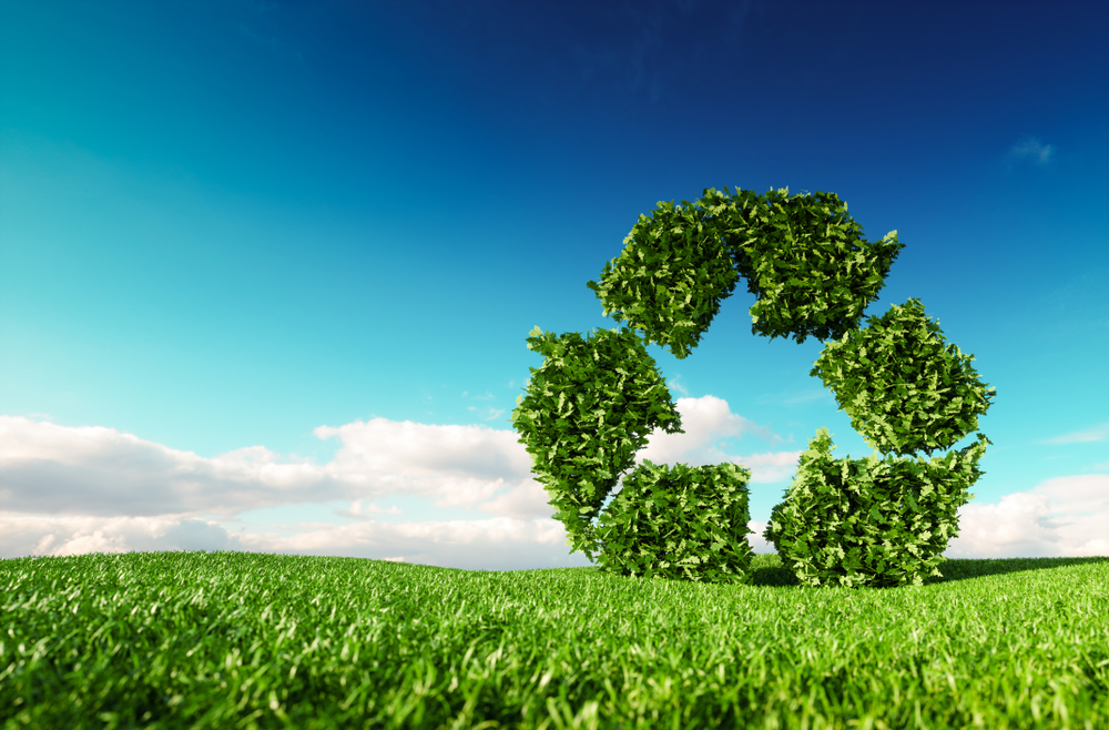 Project Finance Modelling for Renewable Energy